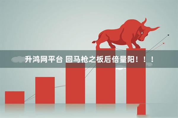 升鸿网平台 回马枪之板后倍量阳!!!