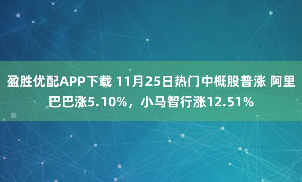 盈胜优配APP下载 11月25日热门中概股普涨 阿里巴巴涨5.10%，小马智行涨12.51%