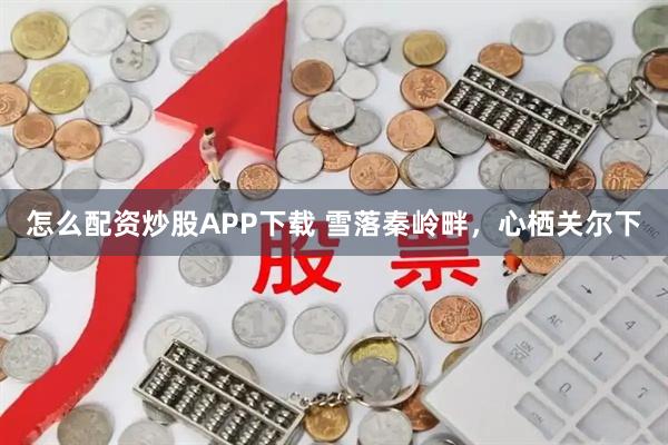 怎么配资炒股APP下载 雪落秦岭畔，心栖关尔下