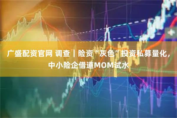 广盛配资官网 调查｜险资“灰色”投资私募量化，中小险企借道MOM试水
